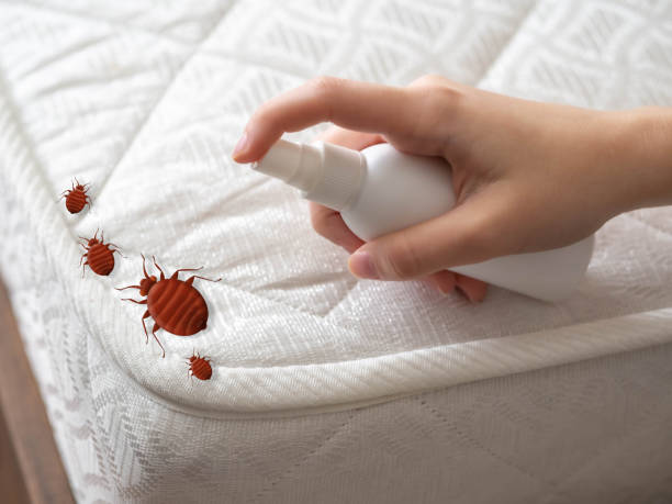 Best Bed Bug Extermination  in Oakbrook Terrace, IL